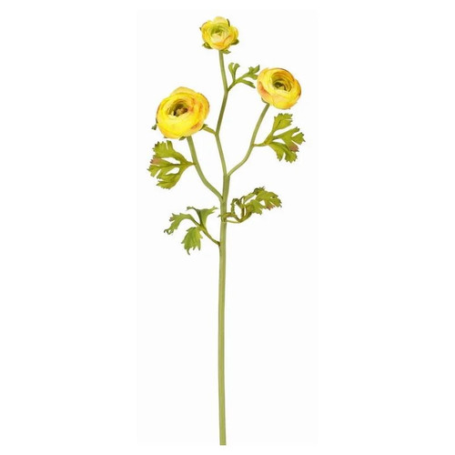 WIN *  Ranunculus 26.5" Yellow x3