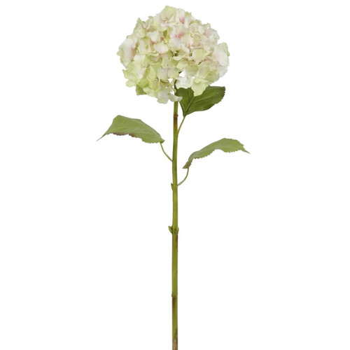 WIN *  Hyndrangea M 28" Pink/Green