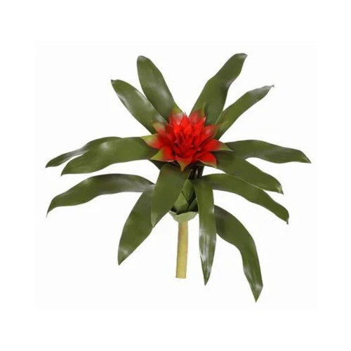 WIN *  Bromeliad 14" Red