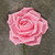 NAT * Foam Rose 6" w/Stem Pink