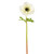 WIN *  Poppy Anemone 17.5" White