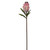 WIN *  Mink Protea 29" Pink