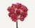 BBW * Paper Flower Small Fuchsia