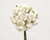 BBW * Paper Flower Medium White
