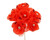 BBW * Flower Red 6 to Bundle