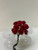 BBW * Paper Flower Small Red