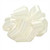 OFF *  210 Satin 16/100 Ivory
