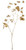 WIN *  33" Cranberry Garland Gold