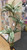 SW *  4 1/2ft Ti Plant w/pot WhiteStripe