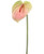 NIC *  29" Anthurium Pink/Green