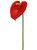 NIC *  29" Anthurium Red