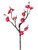 AS *  18" Plum Blossm Spy 2T Fuchsia