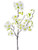 AS *  18" Cherry Blossom White Green