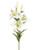 AS *  28" Garden Lily Spray White