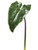 AS *  34" Calla Lily Leaf Green