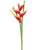 AS *  34" Heliconia Spray Red