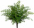 AS *  16" Maidenhair Fern Bush Green