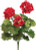 AS *  17" W.R. Geranium Bush Red