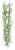 AS *  6ft Asparagus Fern Garland