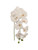 NIC *  33.5" Phalaenopsis Stem White