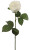 NIC *  20" Rose Bud White