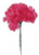 NIC *  3.5" Carnation Pick Fuchsia