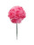 NIC *  3.5" Carnation Pick Hot Pink