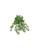 NIC *  22" Maidenhair Fern Green