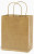 ABI *  Kraft Bags 8x10" Brown