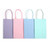 ABI *  Kraft Bags 5.25x8.5" Pastel 