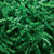 WF * Shred Crinkle Cut 40 lb. Green