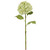 WIN *  Hydrangea 28" Light Green