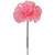 NIC *  3.5" Carnation Pick Pink