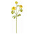 WIN *  Ranunculus 26.5" Yellow x3