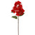 WIN *  19" Bougainvillaea Red