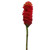 WIN *  Cone Ginger 27" Red