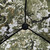 VENATIC Grab & Run Hunting Ground Blind - Ultralight Stake-Free Pop Up Turkey & Deer Hunting Blind - Provides Maximum Concealment