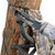 VENATIC Deluxe Winner Climber Stand
