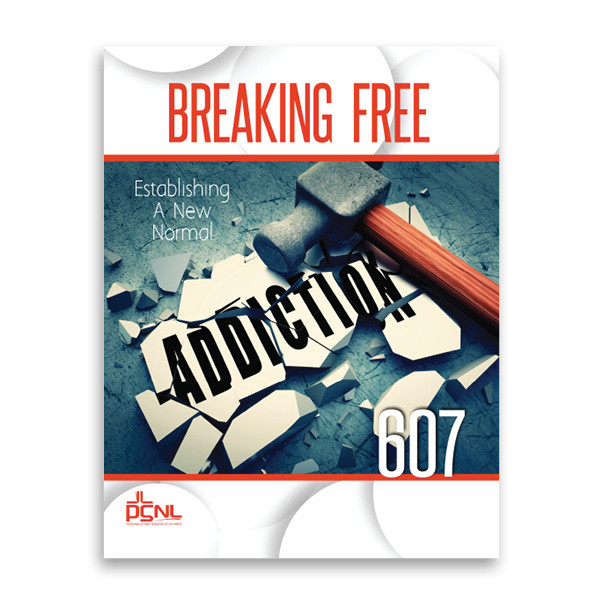 Establishing a New Normal | Book 6 of the Breaking Free Series