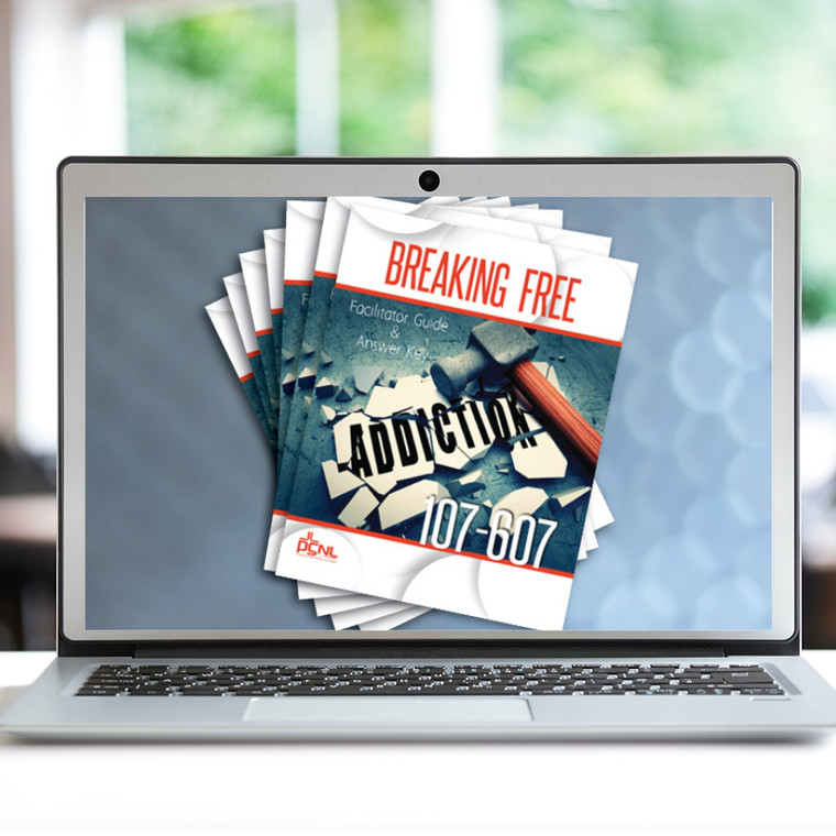 Breaking Free Online Facilitator Training