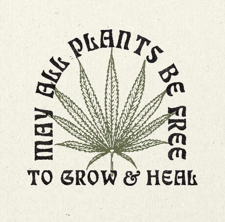 Legalize Texas