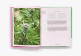 Growing Weed in the Garden: A No-Fuss, Seed-To-Stash Guide Growing Weed in the Garden: A No-Fuss, Seed-To-Stash Guide