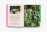 Growing Weed in the Garden: A No-Fuss, Seed-To-Stash Guide Growing Weed in the Garden: A No-Fuss, Seed-To-Stash Guide