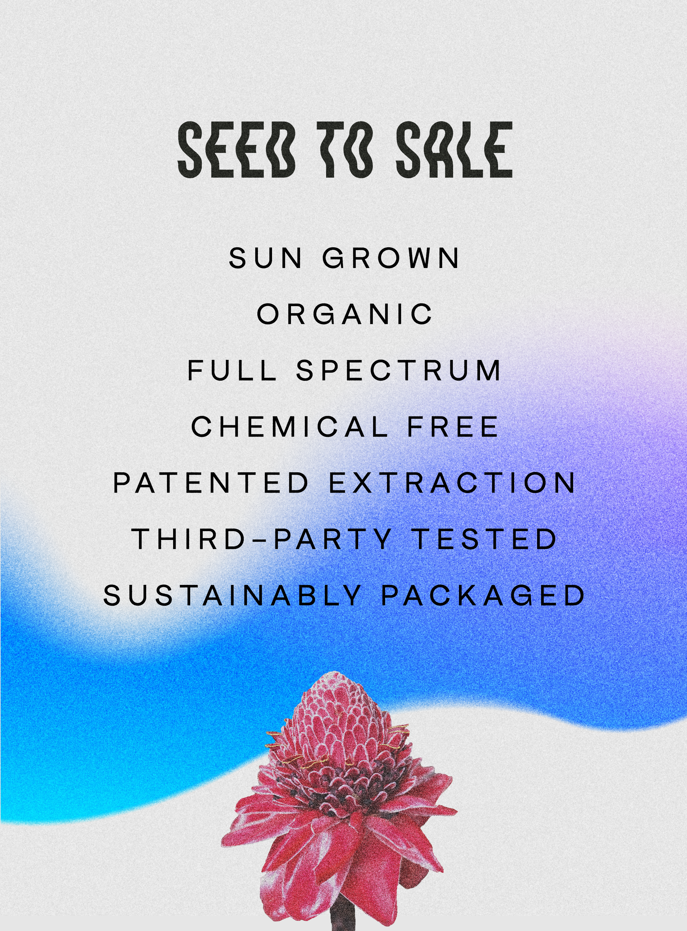 Redeemer Small Batch ‘Seed to Sale’ graphic listing organic, full spectrum, chemical free, patented extraction, third-party tested, and sustainable hemp packaging.