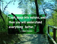 New wood and macrame natural stone bracelets coming soon!