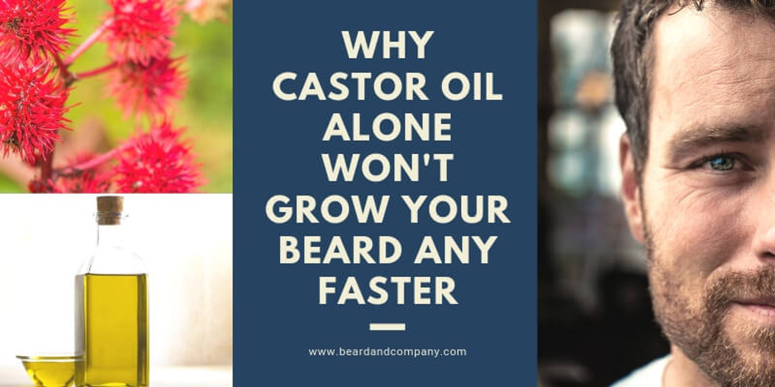 Castor Oil Alone Won't Grow Your Beard Faster What to Use Instead