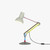 Type 75 Desk Lamp | Paul Smith Edition | Anglepoise