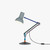 Type 75 Desk Lamp | Paul Smith Edition | Anglepoise