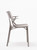 A.I. Dining Armchair | Indoor & Outdoor  | Designed by Philippe Starck | Set of 2 | Kartell