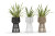 Cricket Flower Pot | Designed by Daniele Anki Gneib | Varaschin